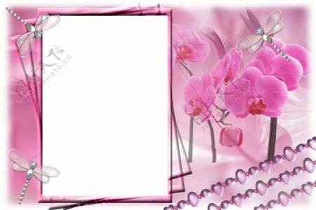 相框素材粉色花语相框模板图片