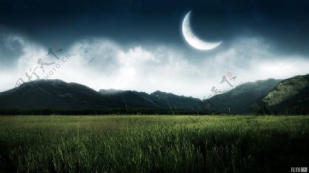 月光下的草原