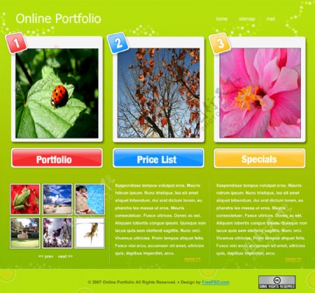 风景介绍网页设计图片