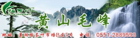 茶叶网站banner图片
