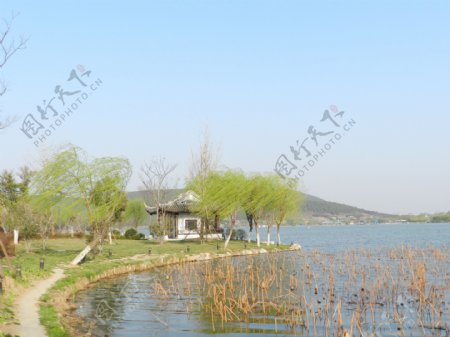 春季湖边图片
