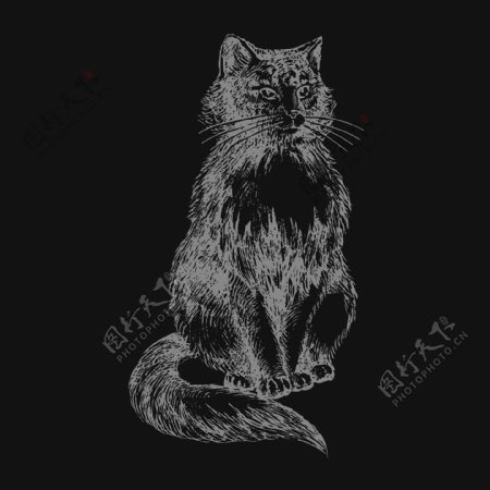 印花矢量图T恤图案动物猫色彩免费素材