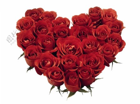 鲜花特写花的艺术浪漫的心心型花艺爱红玫瑰