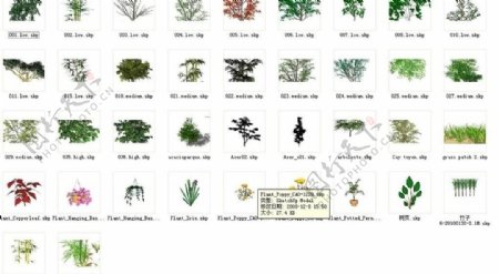 sketchup3d植物图片