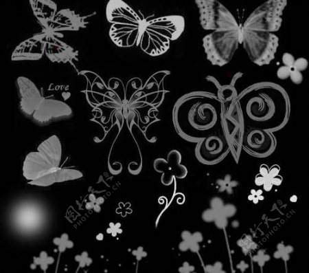 精美的蝴蝶和花笔刷图片