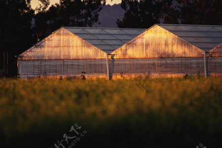 瑞士农场图片