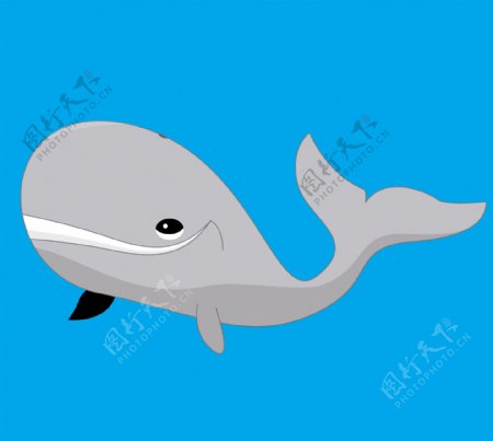 一种蓝色背景上的一个灰色的卡通鲸鱼矢量插画