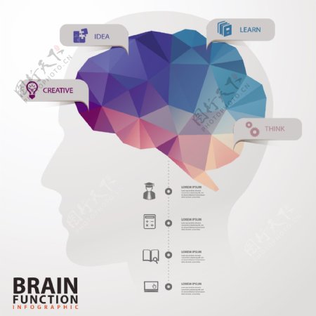创意大脑功能信息图