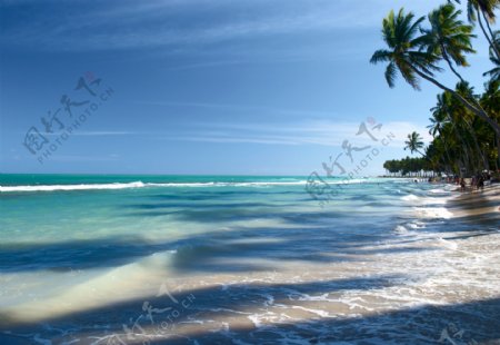 巴西海滩图片