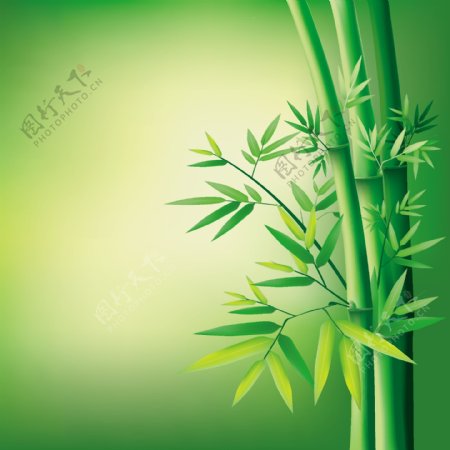 绿色翠竹背景矢量素材