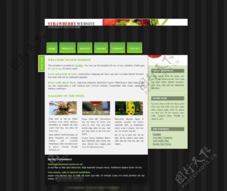 食品类企业网站模板