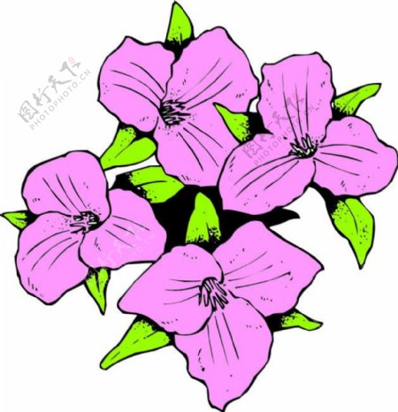 粉紫色花朵矢量印花