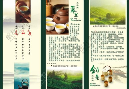 绿茶宣传页图片