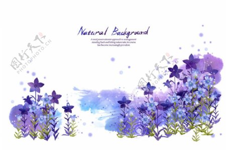 紫色花枝花叶花卉PSD分层素材