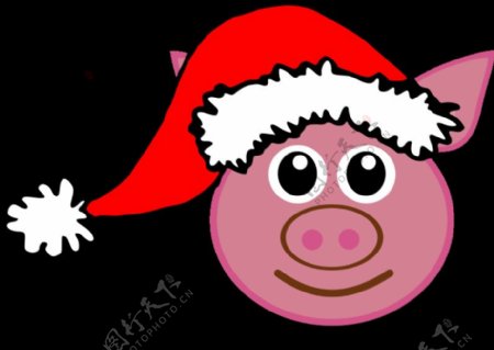 圣诞老人克劳斯帽子滑稽的小猪脸