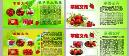 草莓园展板图片