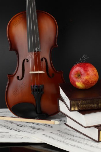小提琴苹果书籍图片