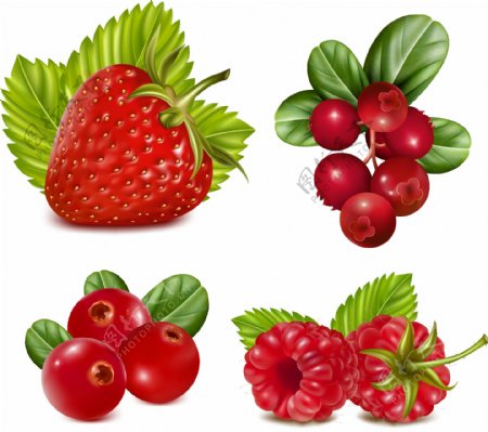 4款红色水果设计矢量素材.