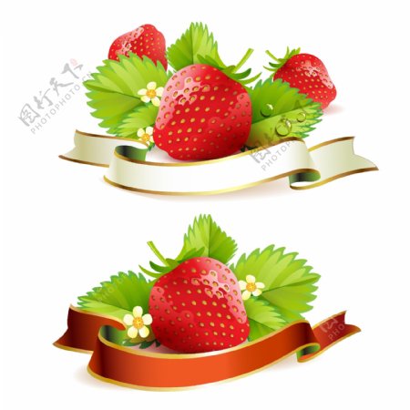草莓标签图片