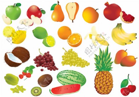 水果和水果框矢量素材