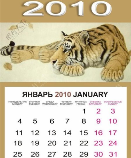 2010个精致的老虎日历模板矢量素材