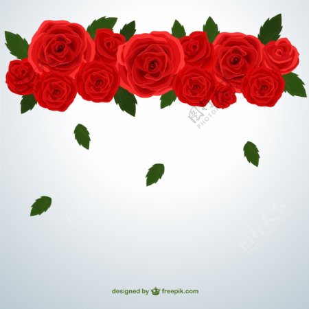 红色玫瑰花装饰背景