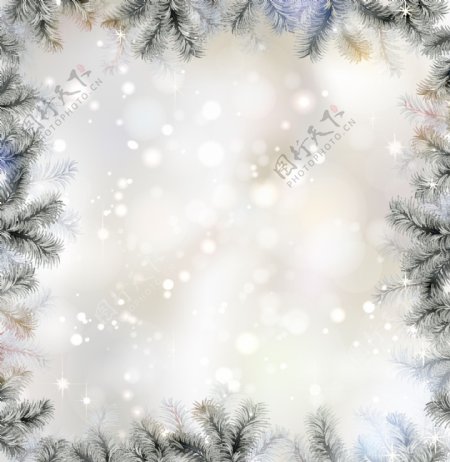 松枝雪花圣诞节背景贺卡图片