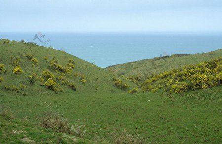 山水风景田园风景