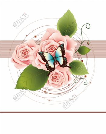 粉色玫瑰绿叶蝴蝶
