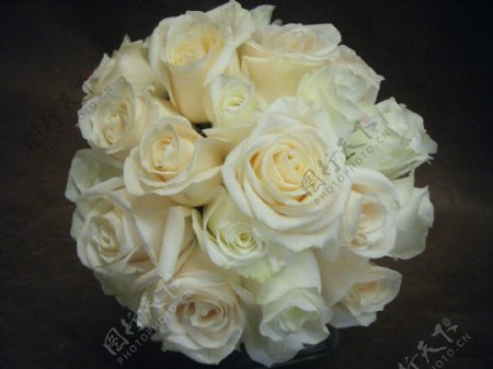 花束白玫瑰