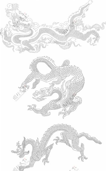 中国古典花纹矢量线绘制的龙