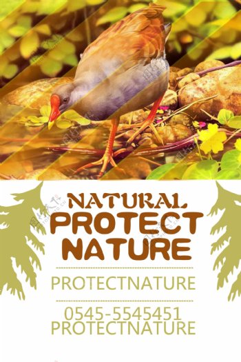 保护大自然海报图片