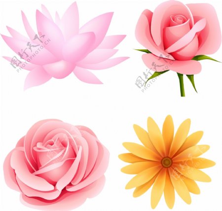 4多粉色花卉背景