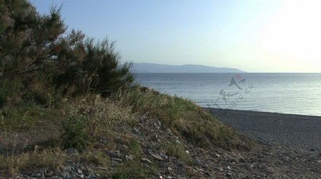 西西里岛对海2股票的录像视频免费下载