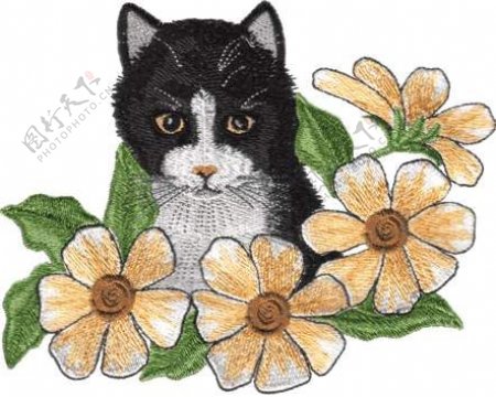 绣花动物猫色彩黑色免费素材