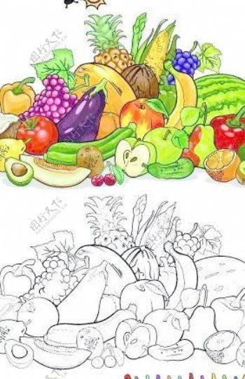 与素描的水果和蔬菜矢量05颜色