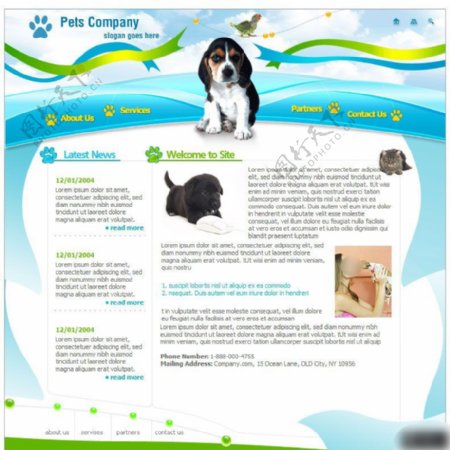 宠物医院网站设计