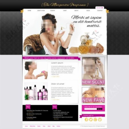 国外化妆品设计网站PSD