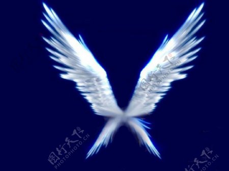天使的翅膀背景图