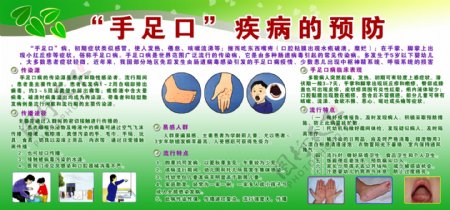 手足口疾病的预防
