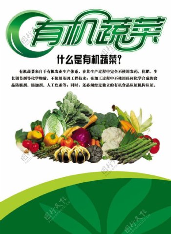 有机蔬菜宣传海报psd素材