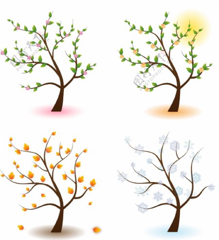 4种季节的树木