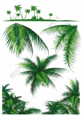 椰子树系列矢量素材
