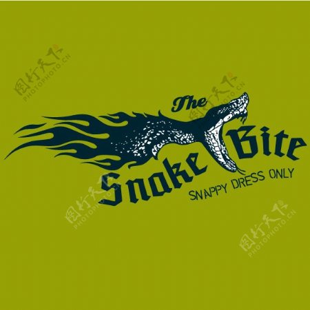 印花矢量图动物蛇色彩绿色免费素材