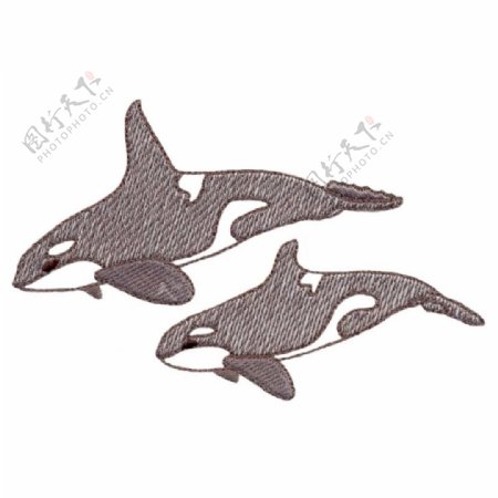 绣花动物鲸鱼色彩黑白色免费素材