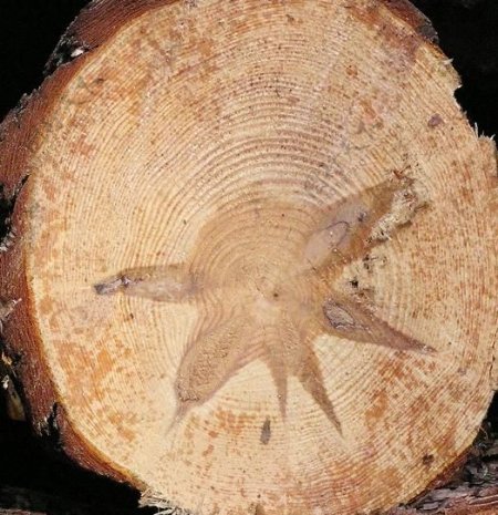 15152自然材质木皮