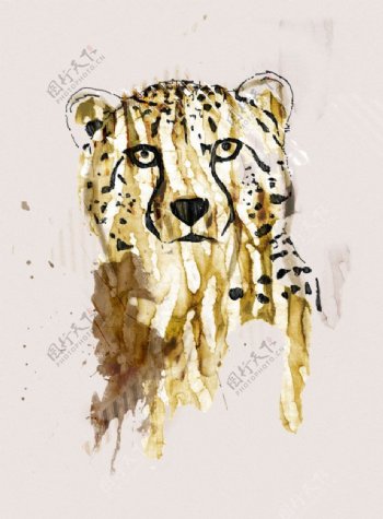 位图插画动物豹色彩免费素材