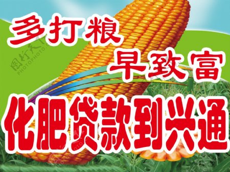 玉米化肥PSD