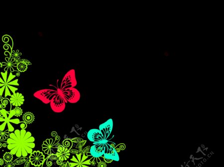 漂亮的花纹及蝴蝶