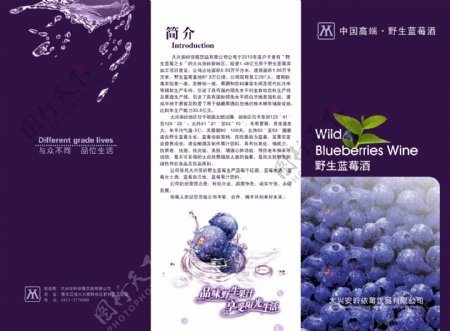 蓝莓三折页图片
